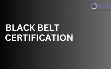 The Path to Six Sigma Black Belt Certification
