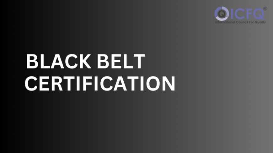 The Path to Six Sigma Black Belt Certification