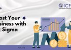 Boost Your Business with Six Sigma