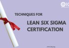 Techniques for Lean Six Sigma Certification