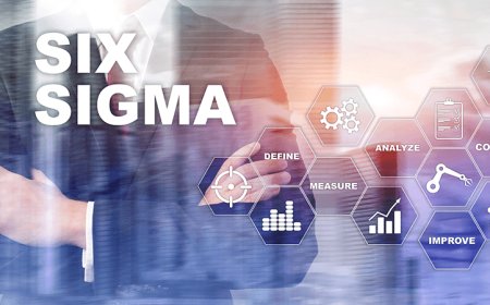 The Complete Guide to Six Sigma Belts