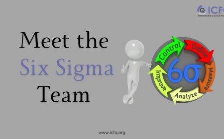 Meet the Six Sigma Team- Who Does What?