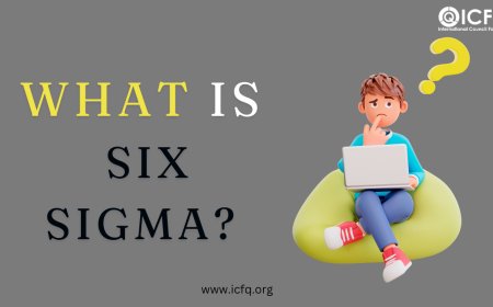 What is Six Sigma?