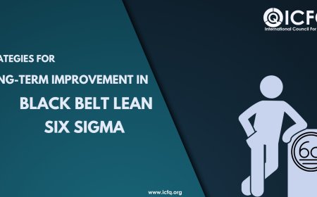Strategies for Black Belt Lean Six Sigma
