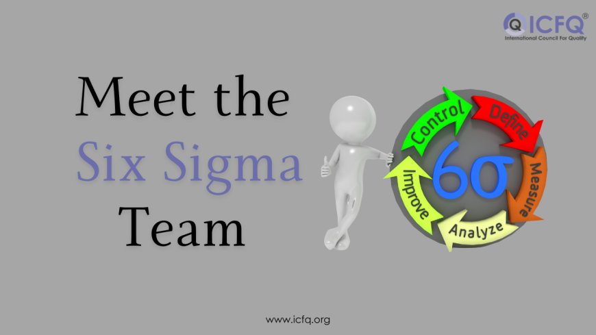Meet the Six Sigma Team- Who Does What?