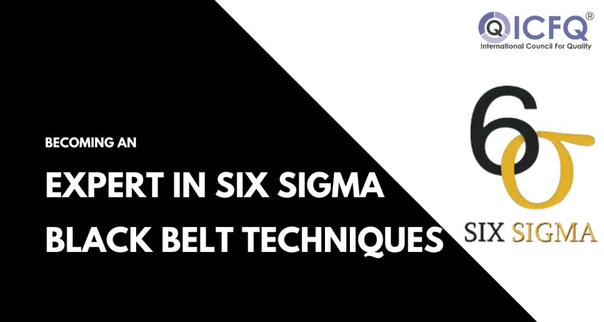 Becoming an Expert in Six Sigma Black Belt Techniques