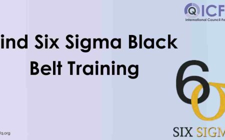Find Six Sigma Black Belt Training