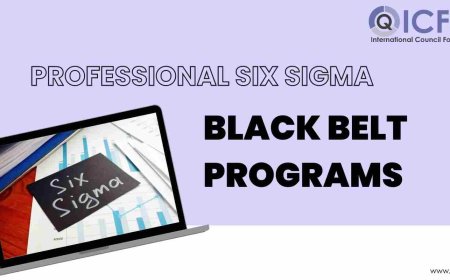 Professional Six Sigma Black Belt Programs