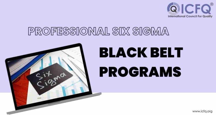 Professional Six Sigma Black Belt Programs