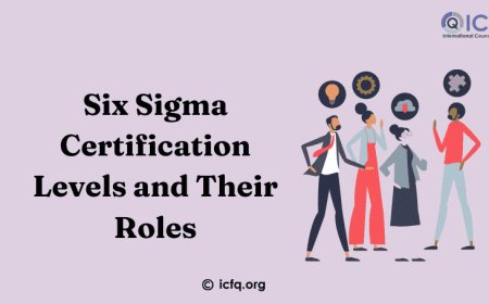 Six Sigma Certification Levels and Their Roles