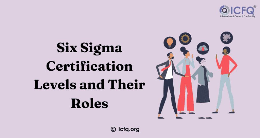 Six Sigma Certification Levels and Their Roles