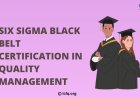 Six Sigma Black Belt Certification in Quality Management