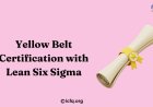 Yellow Belt Certification with Lean Six Sigma Fundamentals