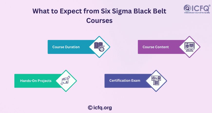 What to Expect from Six Sigma Black Belt Courses