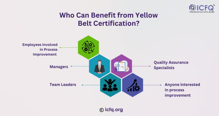 Who Can Benefit from Yellow Belt Certification