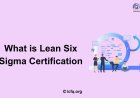 What is Lean Six Sigma certification?