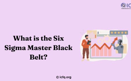 What is the Six Sigma Master Black Belt?