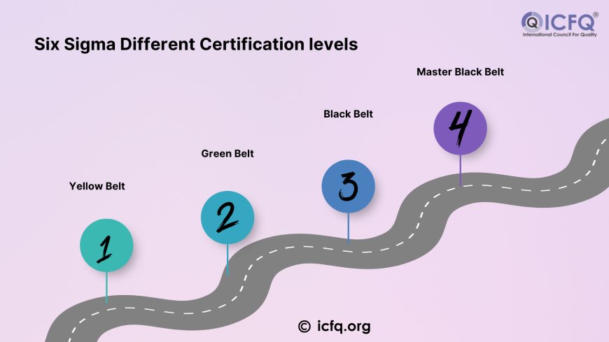 Six Sigma Different Certification levels