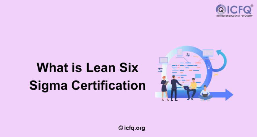 What is Lean Six Sigma certification?