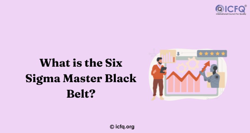 What is the Six Sigma Master Black Belt?