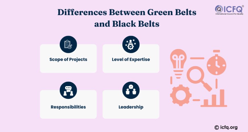 Differences Between Green Belts and Black Belts