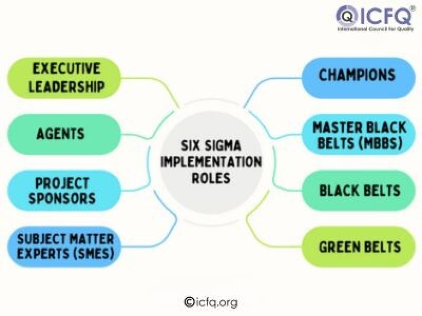 Six Sigma Implementation Roles