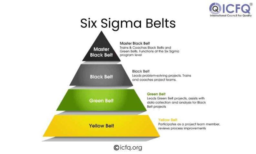 Six Sigma Belts