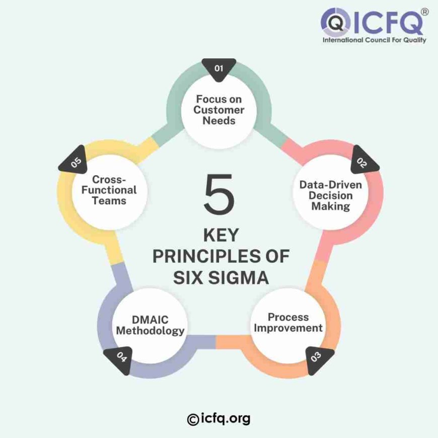 5 Key Principles of Six Sigma