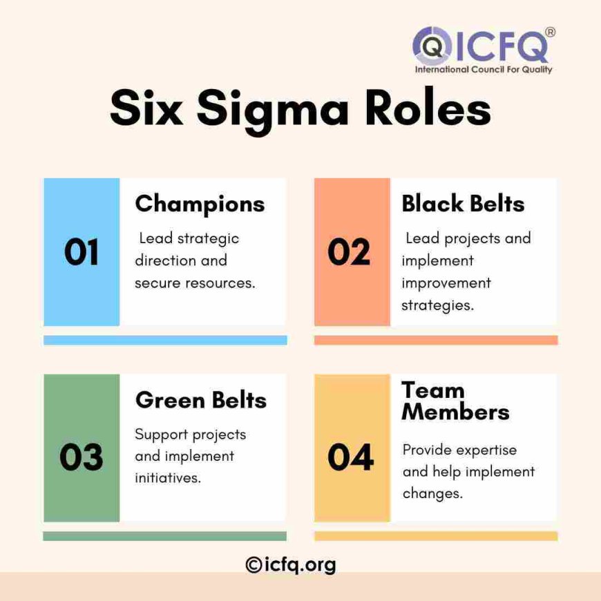 Six Sigma Roles