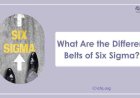 What Are the Different Belts of Six Sigma?