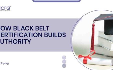 How Black Belt Certification Builds Authority