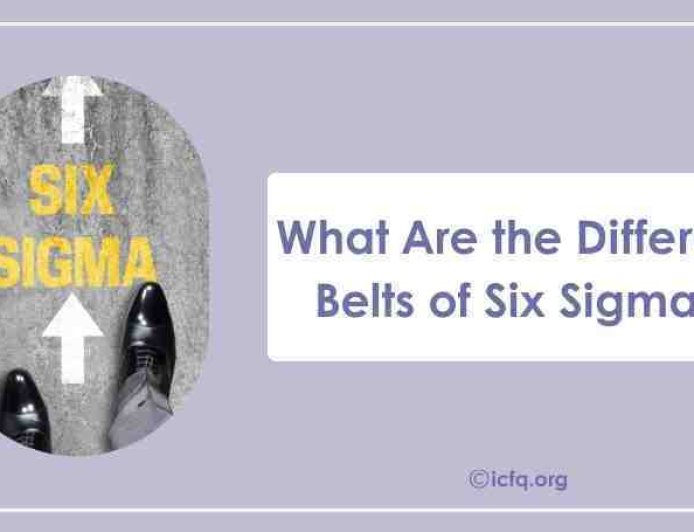 What Are the Different Belts of Six Sigma?
