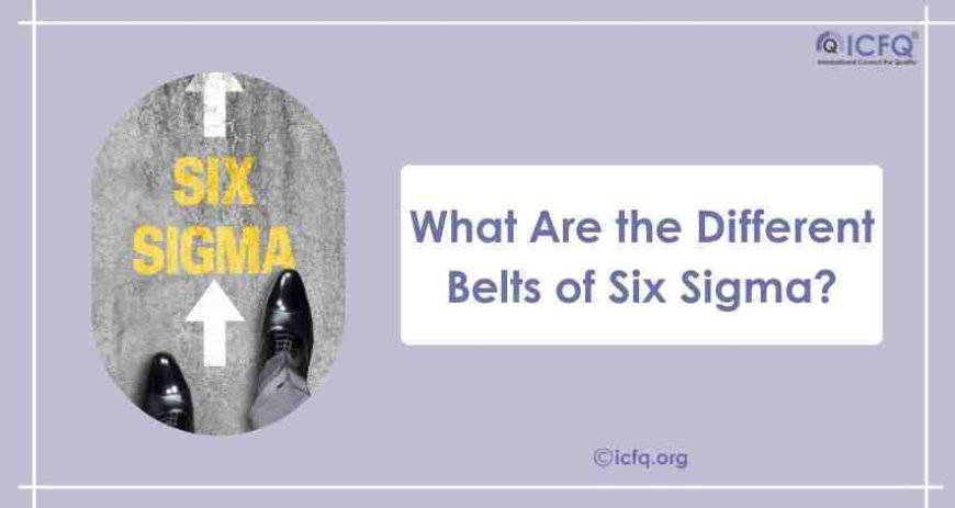 What Are the Different Belts of Six Sigma?