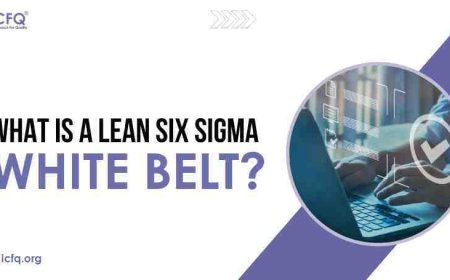 What is a Lean Six Sigma White Belt?