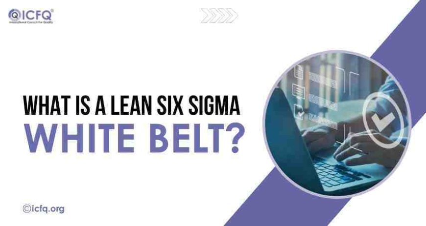 What is a Lean Six Sigma White Belt?