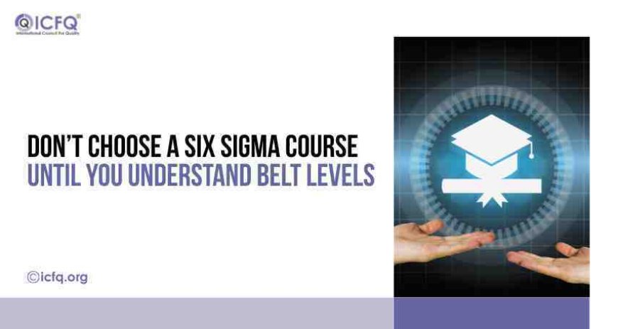 Don’t Choose a Six Sigma Course Until You Understand Belt Levels